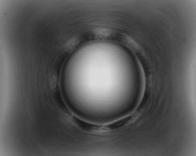 X0000086780463200704201827