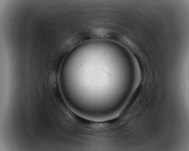 X0000086780465200704201827