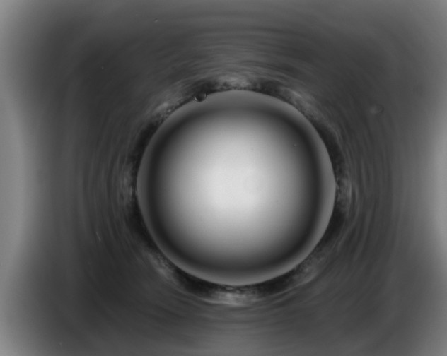 X0000086780466200704201827