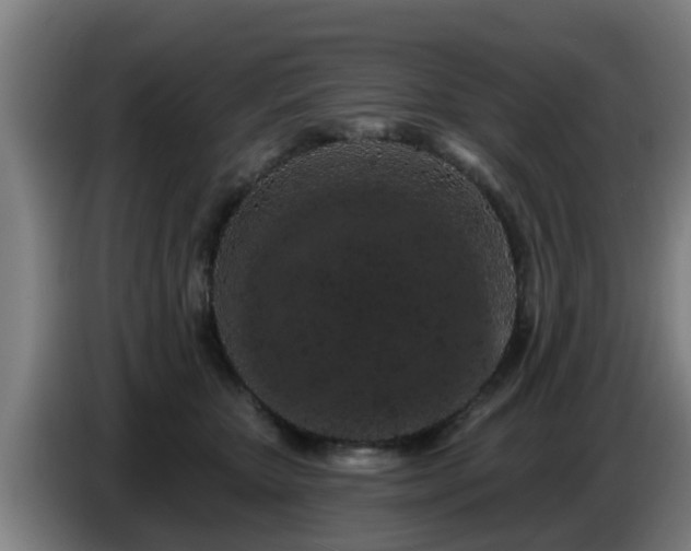 X0000086780467200704201827