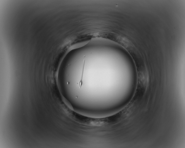 X0000086780470200704201827