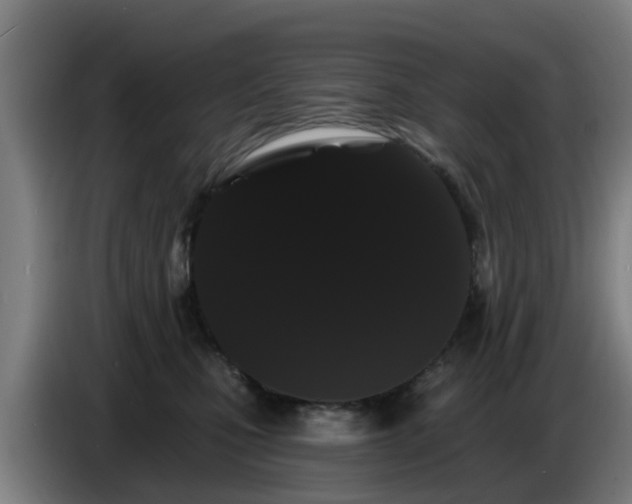 X0000086780471200704201827