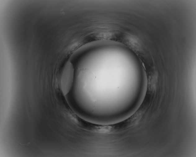 X0000086780474200704201827