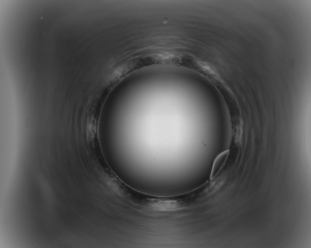 X0000086780476200704201828