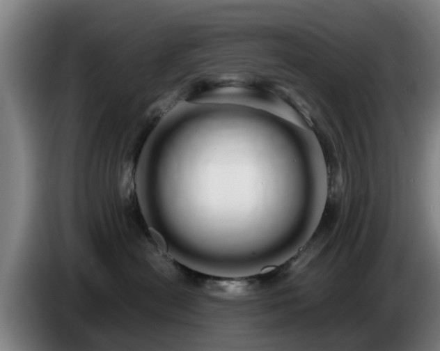 X0000086780478200704201828