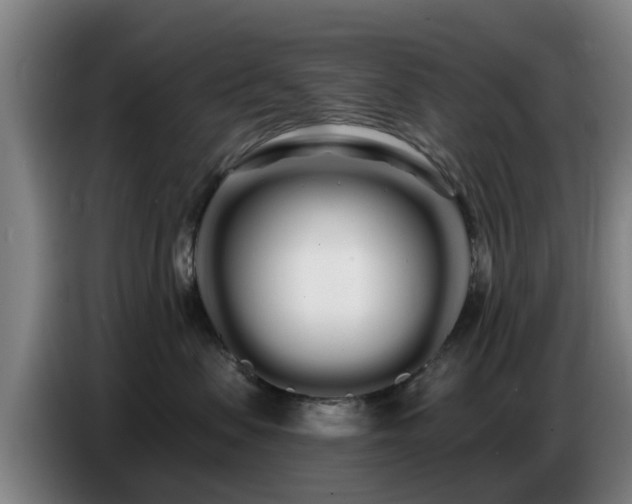 X0000086780479200704201828