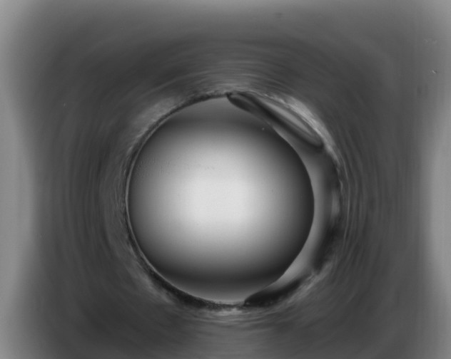 X0000086780481200704201827