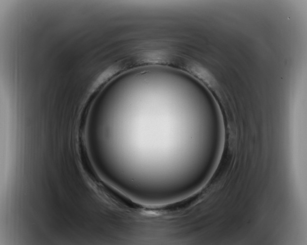 X0000086780482200704201827