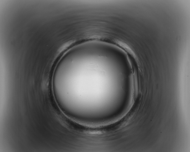 X0000086780483200704201827