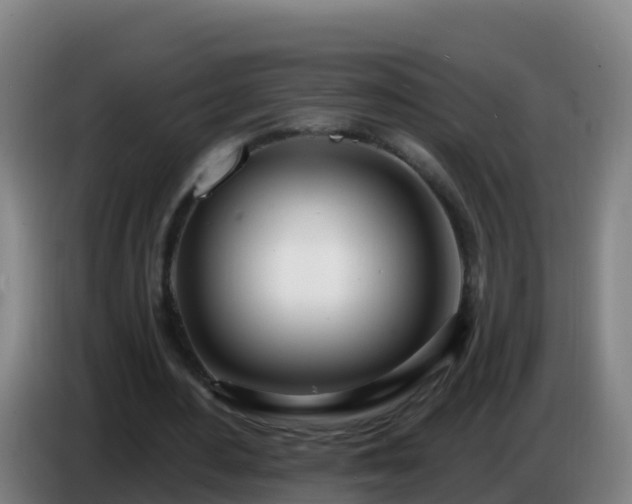 X0000086780484200704201827