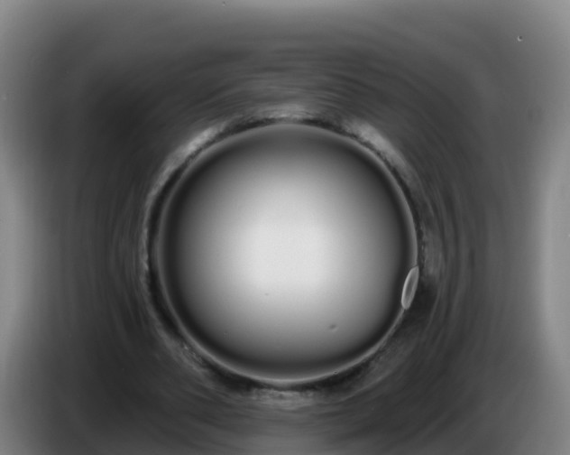 X0000086780486200704201827