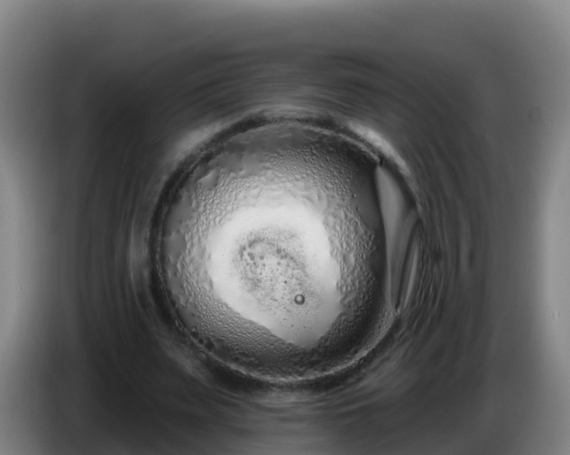 X0000086780487200704201827