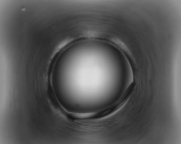 X0000086780488200704201827