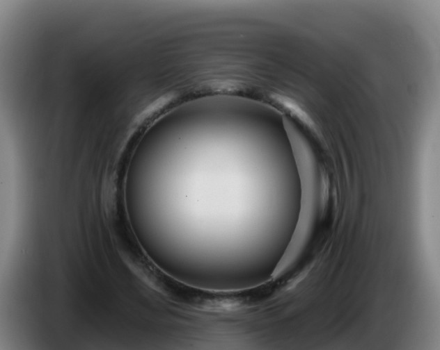 X0000086780492200704201827