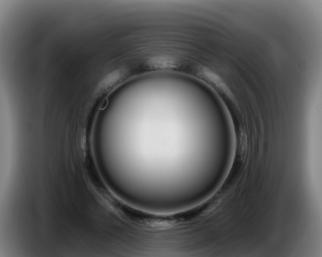 X0000086780494200704201827