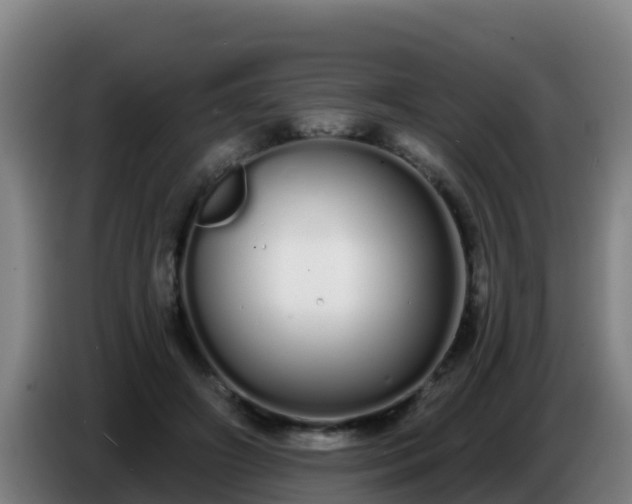 X0000086780498200704201827