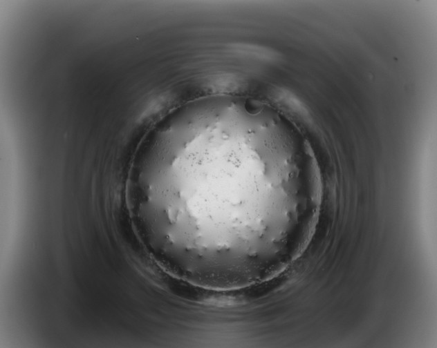 X0000086780499200704201827