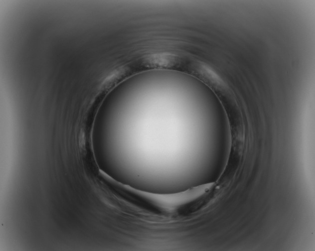 X0000086780500200704201827