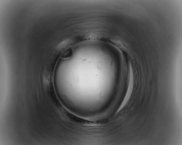 X0000086780503200704201827