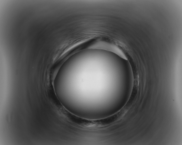 X0000086780504200704201827