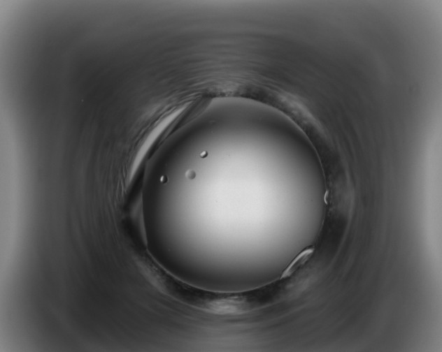 X0000086780505200704201827