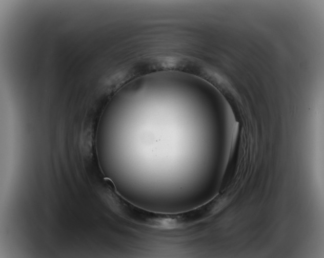 X0000086780509200704201827