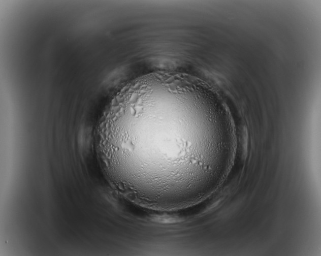 X0000086780511200704201827