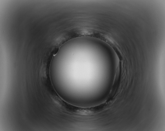 X0000086780512200704201827