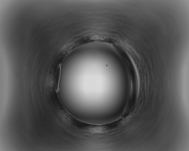 X0000086780513200704201827