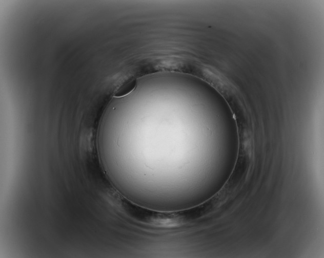 X0000086780514200704201827