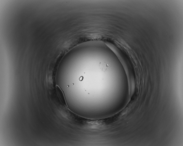 X0000086780516200704201827