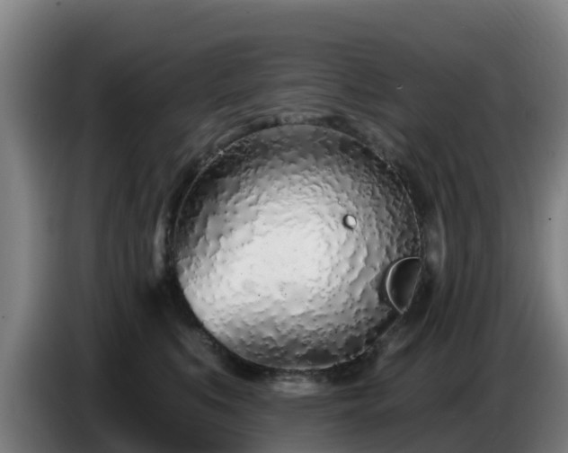 X0000086780519200704201826