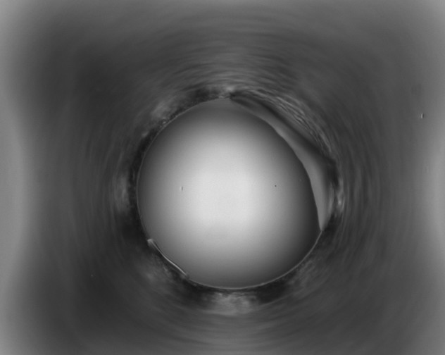 X0000086780520200704201826