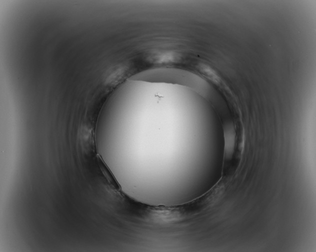 X0000086780521200704201826