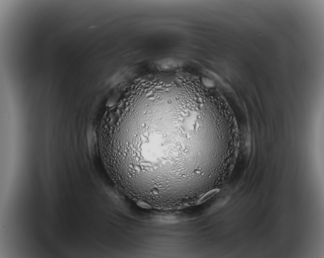 X0000086780523200704201826