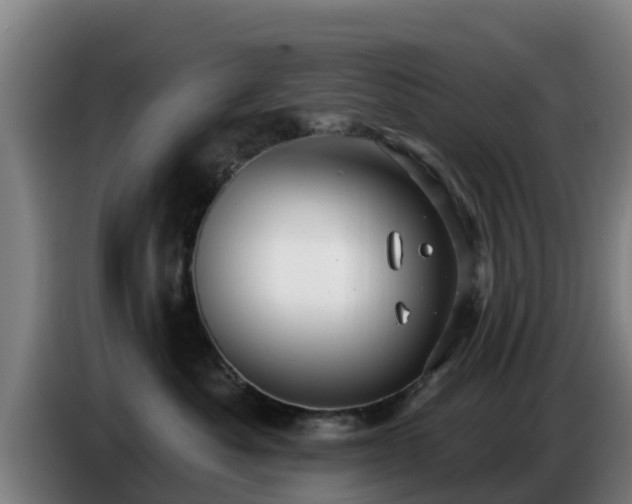 X0000086780525200704201826