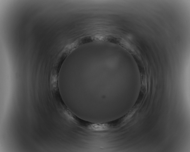 X0000086780526200704201826