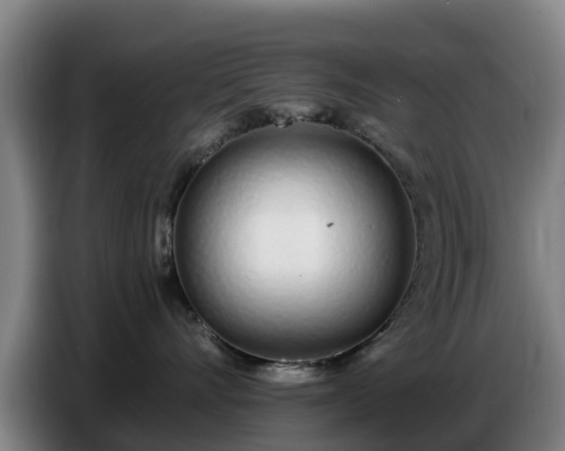 X0000086780528200704201826