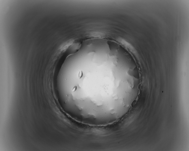 X0000086780529200704201826