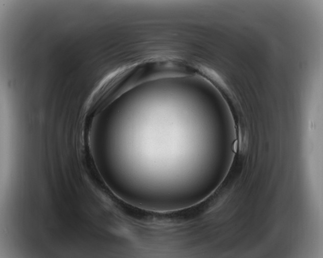 X0000086780531200704201826