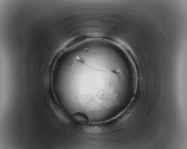 X0000086780533200704201826