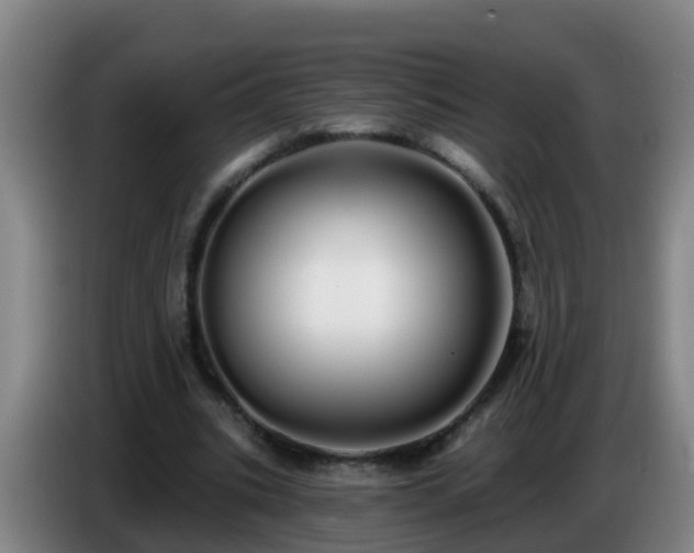 X0000086780535200704201826