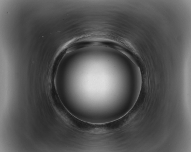 X0000086780536200704201826