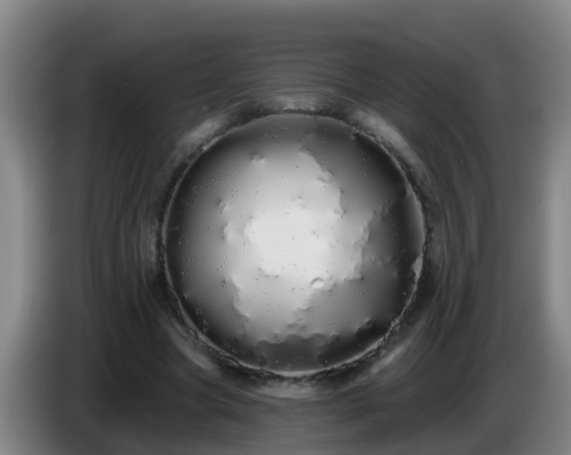 X0000086780537200704201826