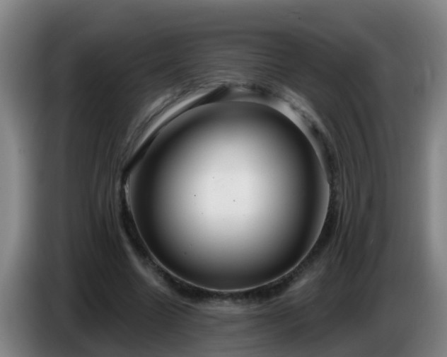 X0000086780538200704201826