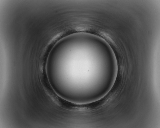 X0000086780539200704201826