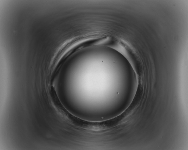 X0000086780540200704201826