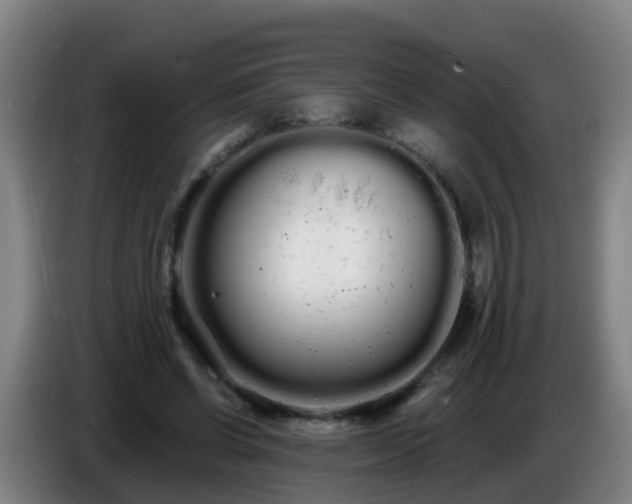 X0000086780542200704201826