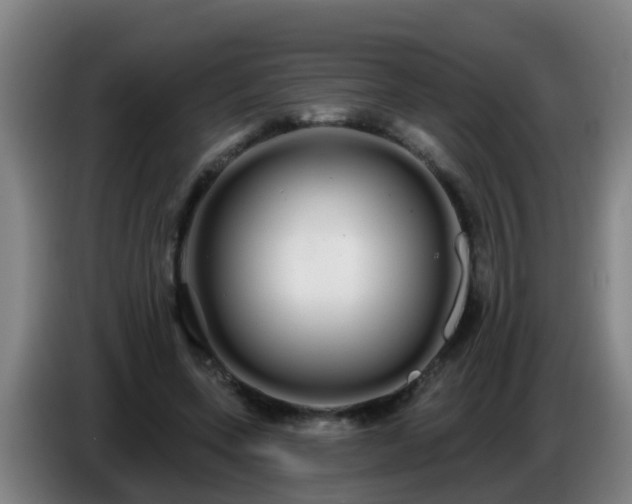 X0000086780543200704201826