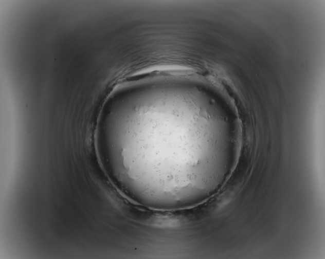 X0000086780545200704201826